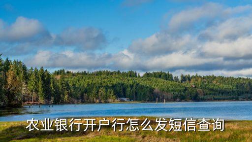 農(nóng)業(yè)銀行開戶行怎么發(fā)短信查詢