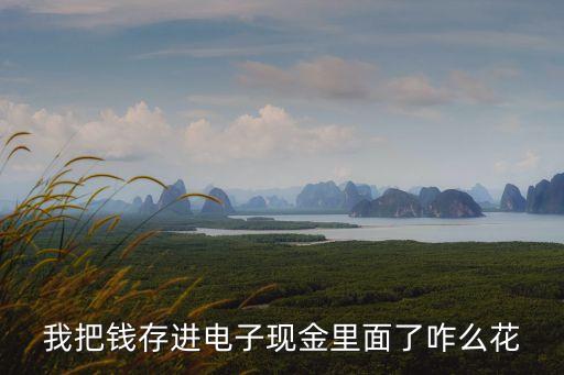 浦發(fā)電子現(xiàn)金怎么消費，浦發(fā)信用卡電子現(xiàn)金功能是什么意思怎么用