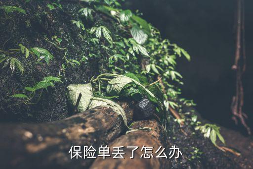 保險(xiǎn)單掉了怎么辦，保險(xiǎn)單丟了怎么辦