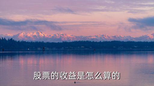 股票的收益是怎么算的