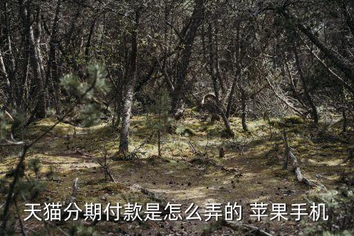 天貓分期付款是怎么弄的 蘋果手機(jī)
