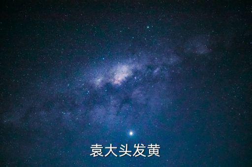 袁大頭發(fā)黃
