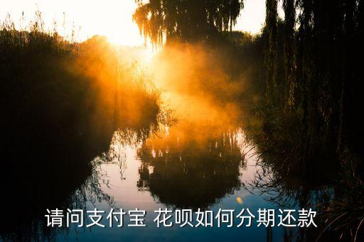 花唄怎么分期還款，請(qǐng)問(wèn)支付寶 花唄如何分期還款