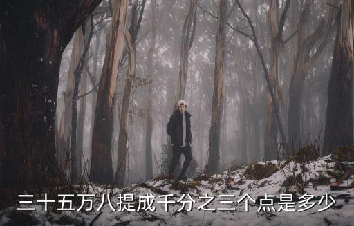 三十五萬八提成千分之三個點是多少