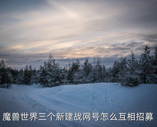 魔獸世界三個新建戰(zhàn)網(wǎng)號怎么互相招募