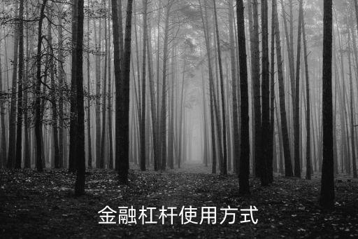 怎么用金融杠桿，金融杠桿使用方式