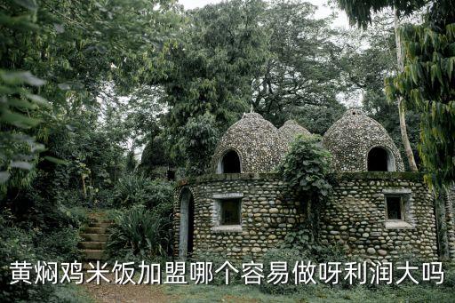 投融貸加盟怎么盈利，目前做貸款公司加盟怎么樣收益如何希望有這方面經驗的人士給點