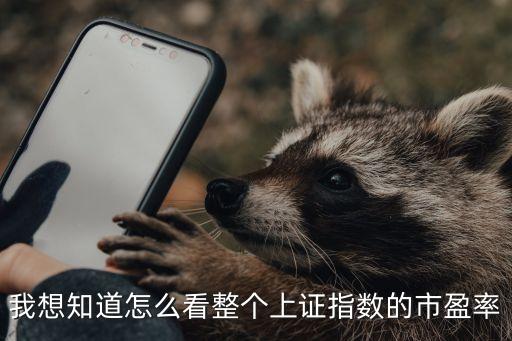 怎么查指數(shù)的市盈率，在哪可查看各指數(shù)的平均市盈率