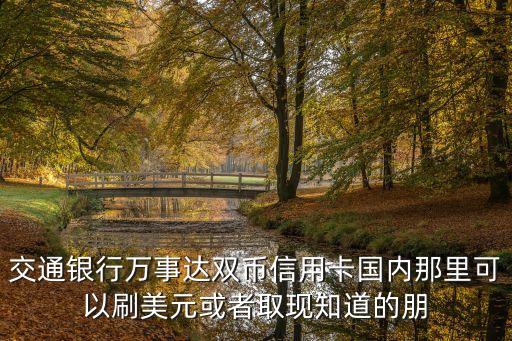 雙幣種信用卡美金怎么提現(xiàn)，雙幣種信用卡如何取美元現(xiàn)金
