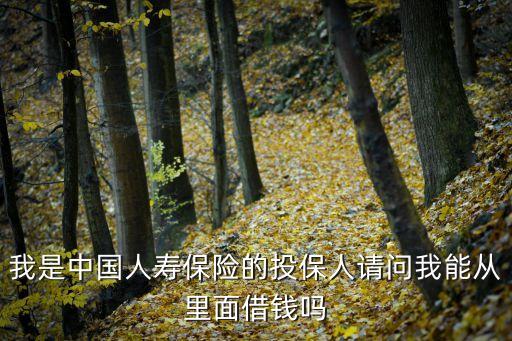 國壽金賬戶怎么借款，我是中國人壽保險(xiǎn)的投保人請問我能從里面借錢嗎