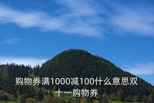 購物券滿1000減100什么意思雙十一購物券