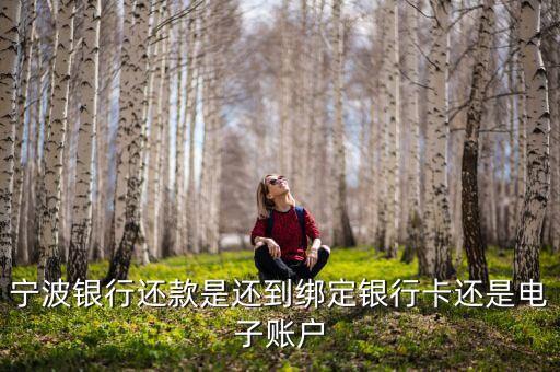 寧波銀行還款是還到綁定銀行卡還是電子賬戶