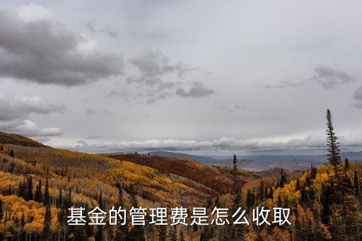 基金的管理費是怎么收取
