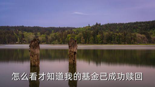 怎么查看證券公司基金已贖回，怎么看一只基金的贖回情況