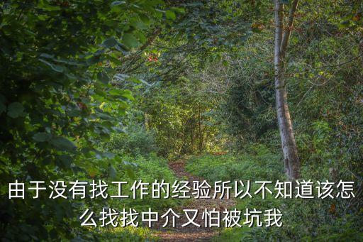由于沒有找工作的經(jīng)驗所以不知道該怎么找找中介又怕被坑我