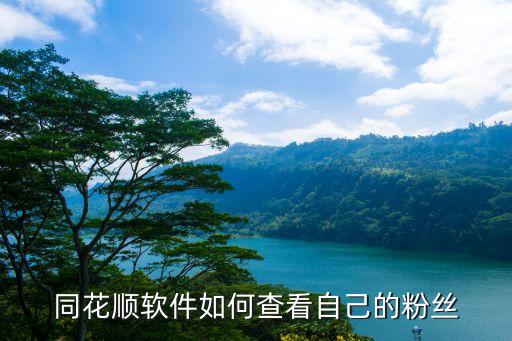 同花順關(guān)注的人怎么看，關(guān)注的人如何查找出來(lái)