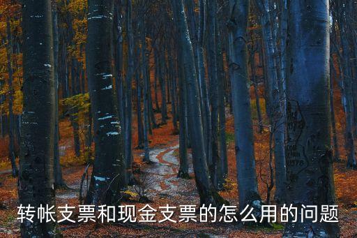 農(nóng)商銀行支票怎么使用，農(nóng)商銀行80萬(wàn)現(xiàn)金支票怎么用