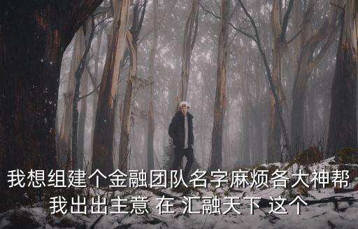 我想組建個金融團(tuán)隊(duì)名字麻煩各大神幫我出出主意 在 匯融天下 這個