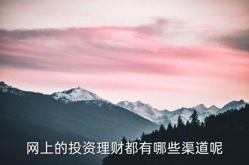 網(wǎng)上的投資理財(cái)都有哪些渠道呢