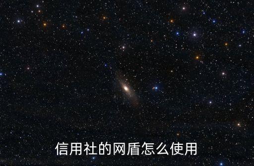 信用社的網(wǎng)盾怎么使用