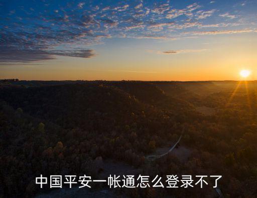 中國平安一帳通怎么登錄不了