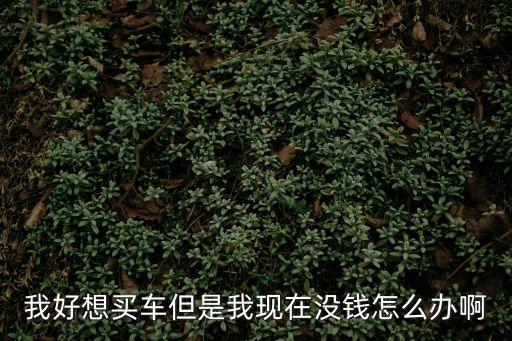 買車貸款壓力大怎么辦，老公要把所有積蓄用來買奔馳每月八千多貸款壓力太大請問大家怎