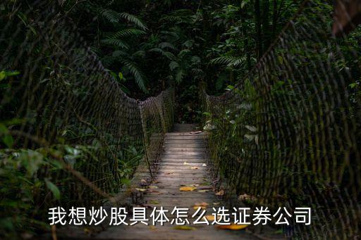 怎么選擇券商股，我想炒股具體怎么選證券公司