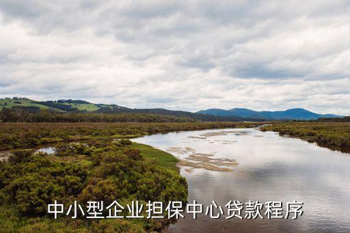 擔(dān)保公司貸款怎么辦理，中小型企業(yè)擔(dān)保中心貸款程序