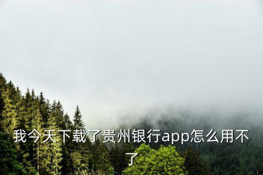 我今天下載了貴州銀行app怎么用不了