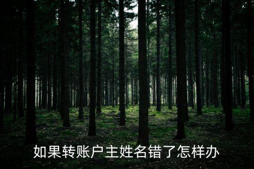 如果轉賬戶主姓名錯了怎樣辦