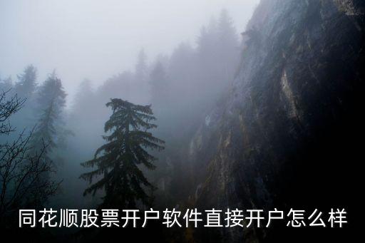 同花順股票開戶軟件直接開戶怎么樣