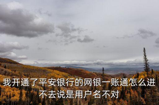 我開通了平安銀行的網(wǎng)銀一賬通怎么進不去說是用戶名不對