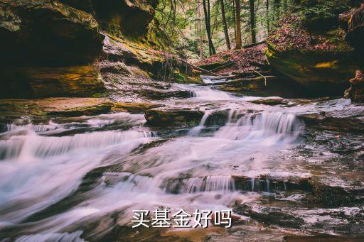 基金怎么樣，謝謝你你覺得基金定投怎么樣