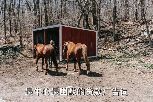 最牛的最幽默的貸款廣告詞