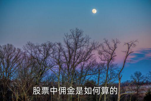 證券交易傭金怎么算，證券交易的傭金是怎么收取的