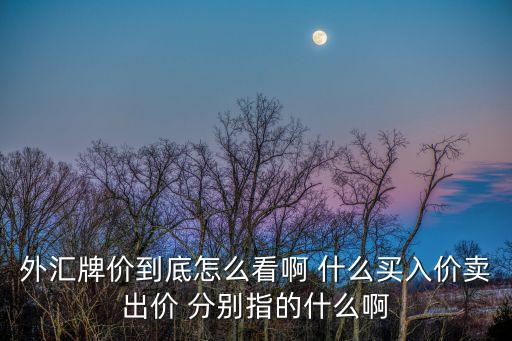 賣出牌價(jià)怎么看，外匯牌價(jià)到底怎么看啊 什么買入價(jià)賣出價(jià) 分別指的什么啊