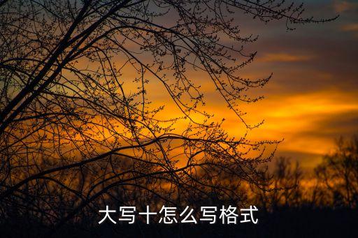 大寫十怎么寫格式