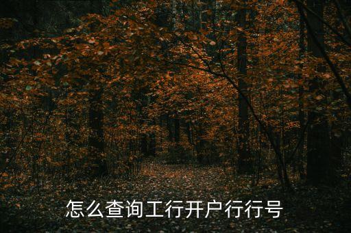 開(kāi)戶(hù)銀行行號(hào)怎么查詢(xún)，銀行行號(hào)怎么查詢(xún)