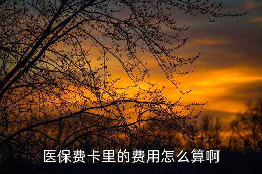 醫(yī)保費卡里的費用怎么算啊