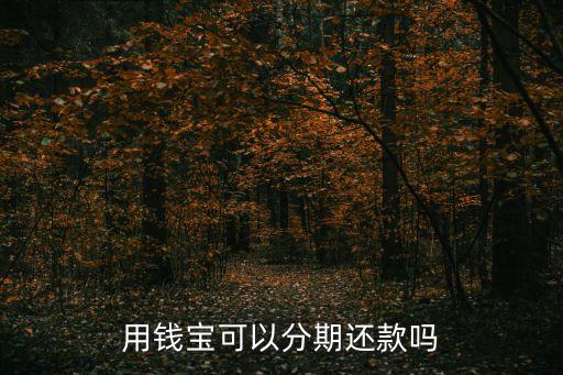 用錢寶怎么分期，用錢寶可以分期還款嗎