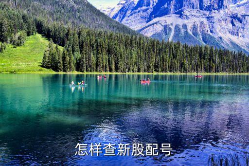 怎樣查新股配號(hào)