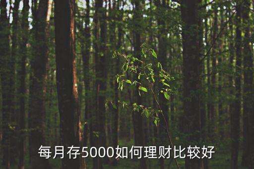 每月存5000如何理財(cái)比較好