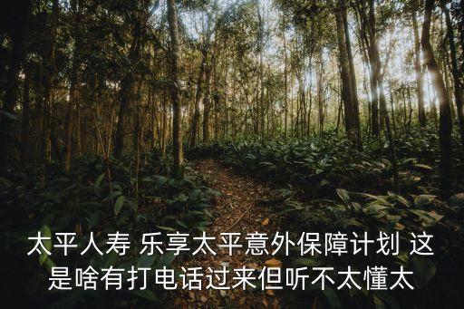 太平人壽 樂享太平意外保障計(jì)劃 這是啥有打電話過來但聽不太懂太