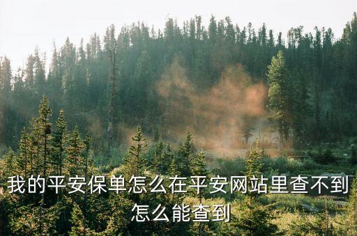平安保單怎么沒(méi)有，每年交平安保險(xiǎn)怎么沒(méi)有單子