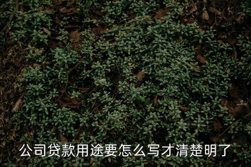 公司貸款用途要怎么寫才清楚明了