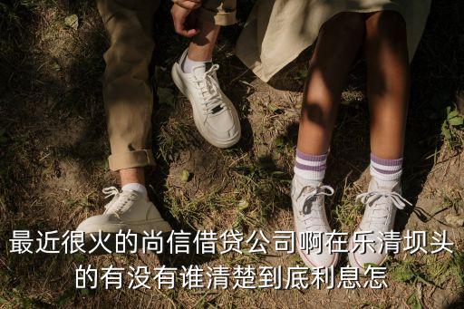 樂清p2p怎么樣，樂清宜信怎么樣