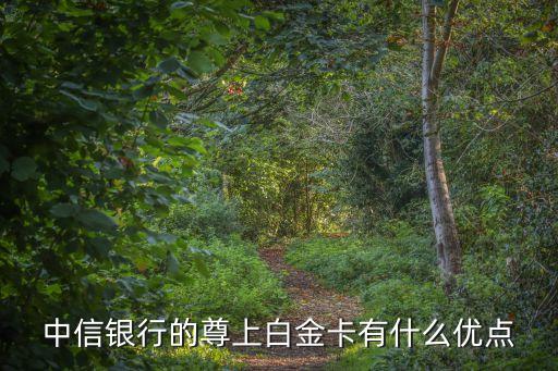 中信銀行的尊上白金卡有什么優(yōu)點