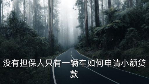 只有一輛車怎么貸款，我只有個(gè)車能用車做抵押貸款嗎