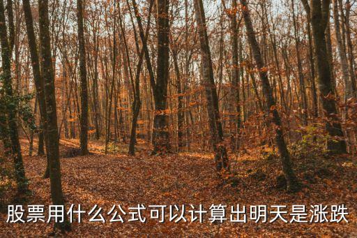 股票用什么公式可以計(jì)算出明天是漲跌
