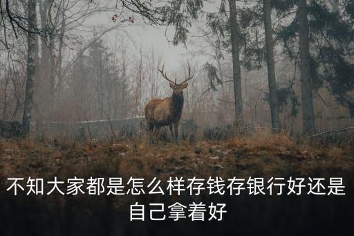 不知大家都是怎么樣存錢存銀行好還是自己拿著好